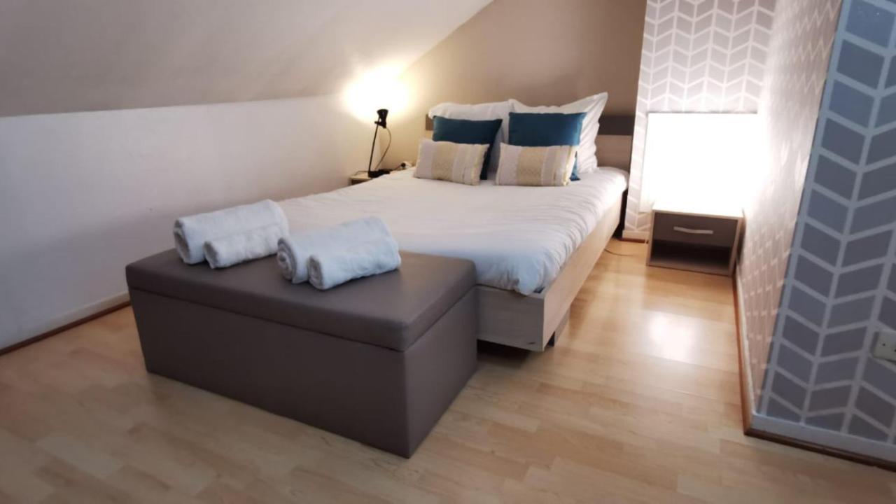 Le Duplex - Hyper Centre - Gare - Wifi - Netflix - Disney + Annecy Eksteriør billede